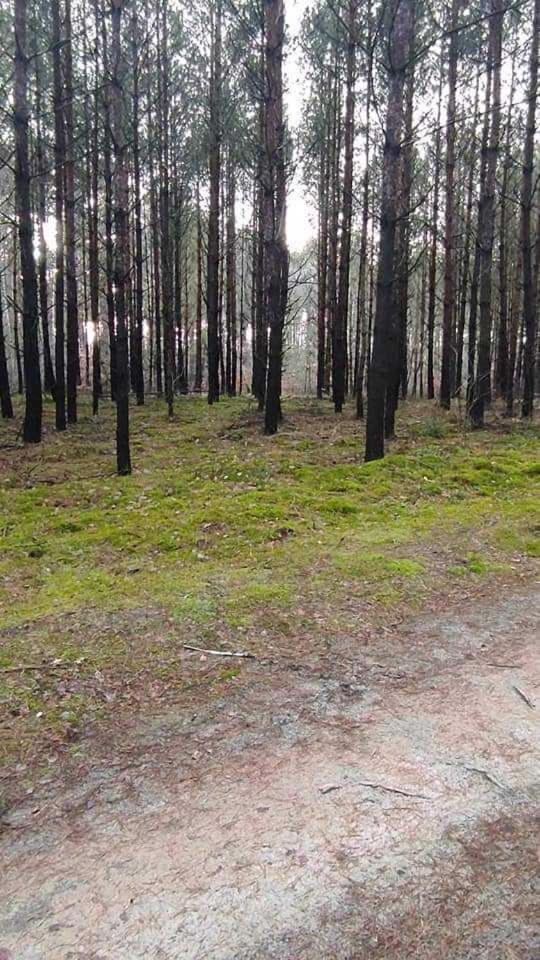 Apartament Dom Za Wydma Nielbark